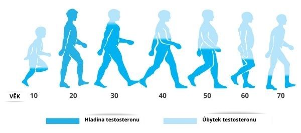 Hladina testosteronu