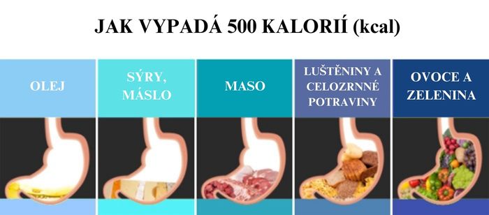 Jak vypadá 500 kalorií